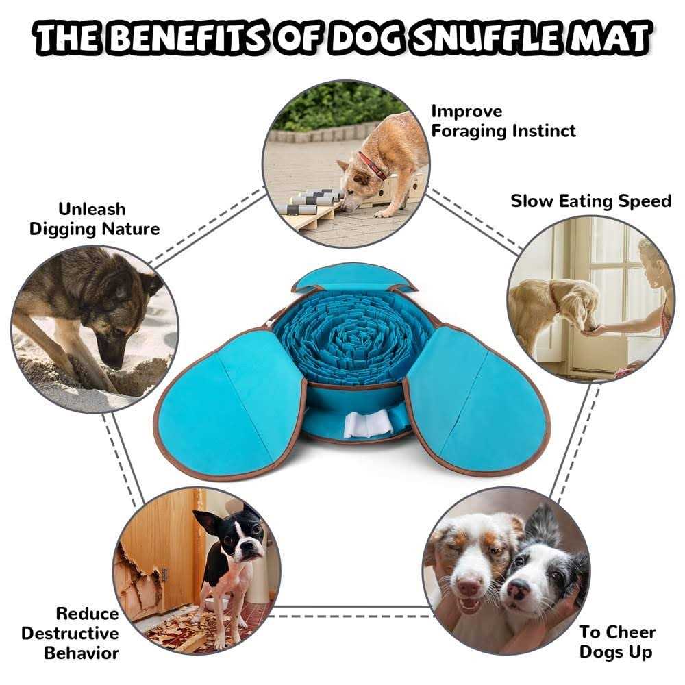Dog Snuffle Mat P655671