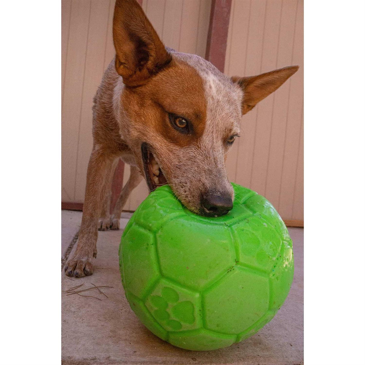 Soccer Ball O252800