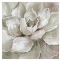 Succulent Canvas Art 30x30 Q63441