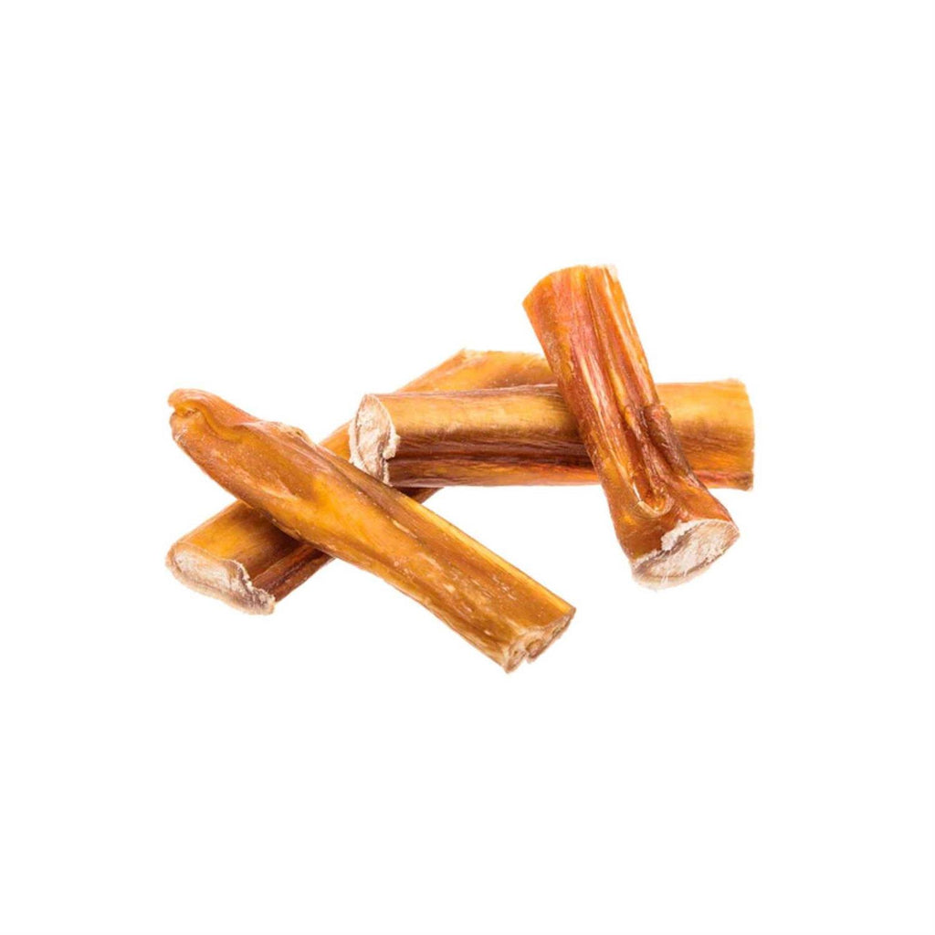 Bully Bites P33771