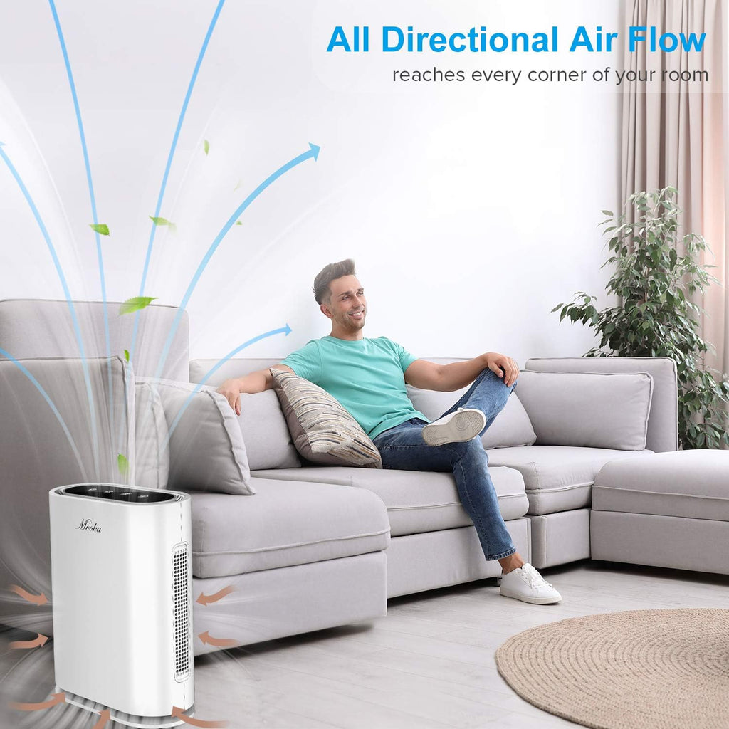 HEPA Air Purifier with Activated Carbon Filter Y18431