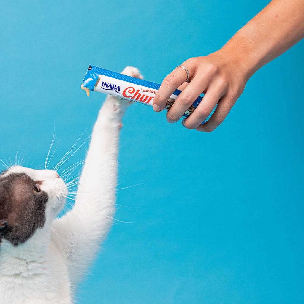 Chicken Recipe Cat Treat A8789