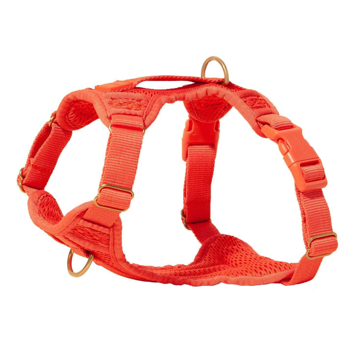 Huggie Harness J49006