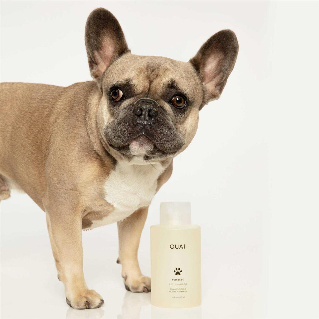 Pet Shampoo J24652
