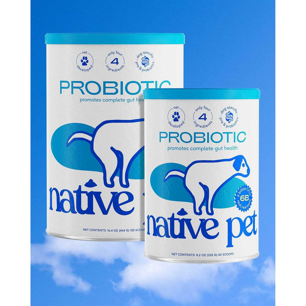 Probiotic Powder for Dogs B399
