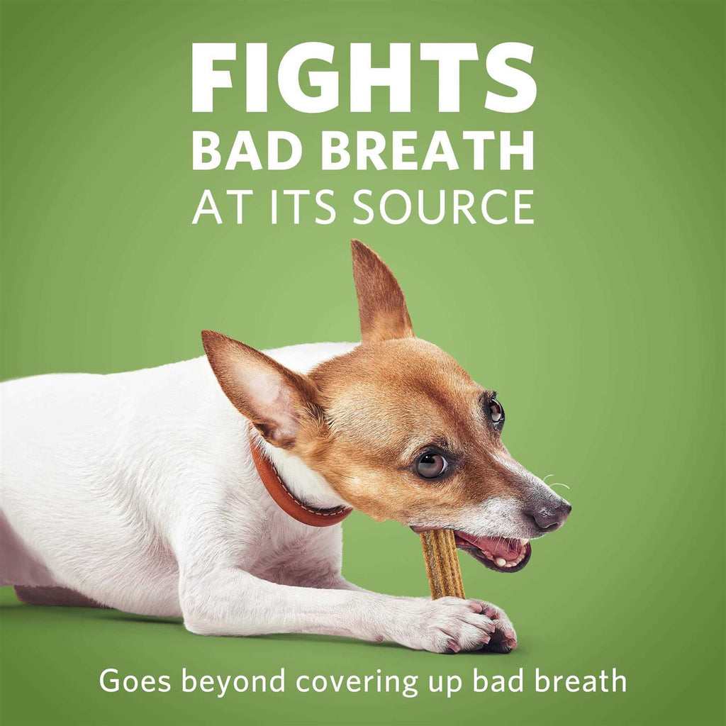 Daily Oral Care Mini Dog Chews P478053