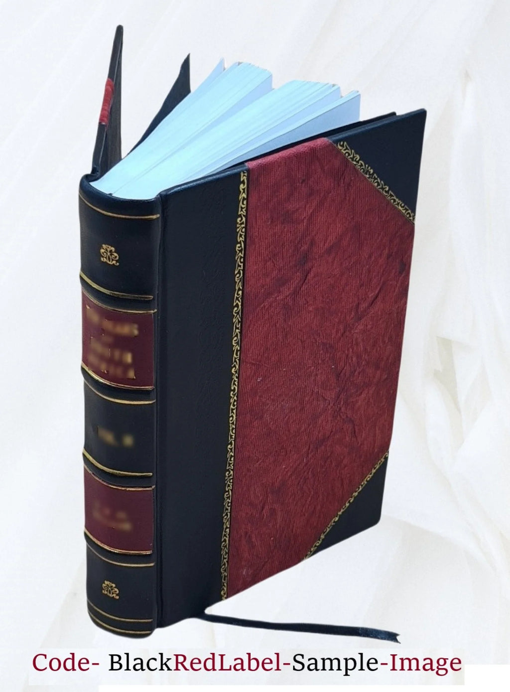 Leather Bound Tale of Real Life P457220